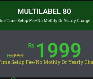 MULTILABEL 80